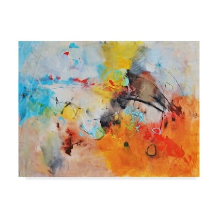 Gabi Ger 'Abstract Colors' Canvas Art,18x24